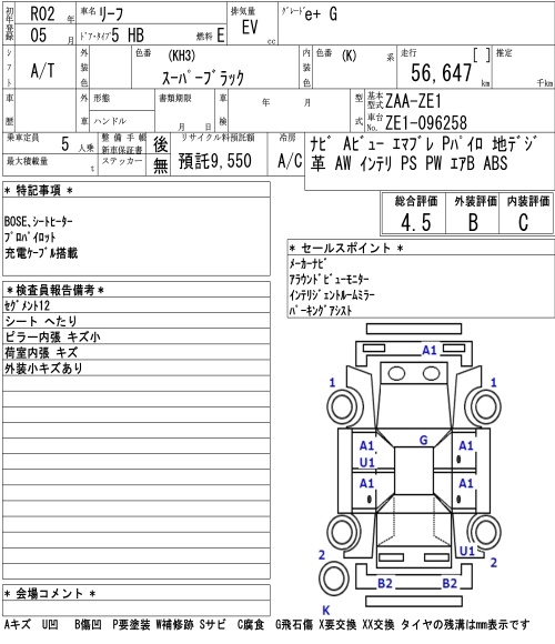 NISSAN LEAF