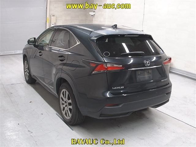 LEXUS NX300