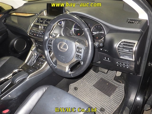 LEXUS NX300