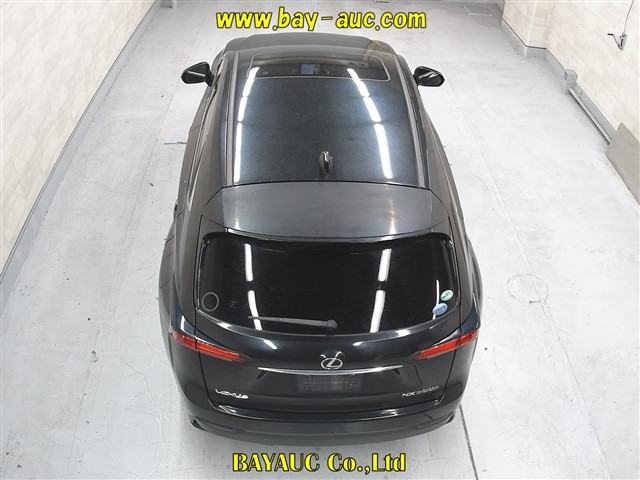 LEXUS NX300