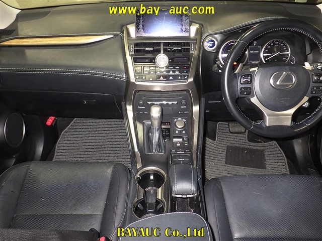 LEXUS NX300