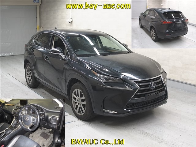LEXUS NX300