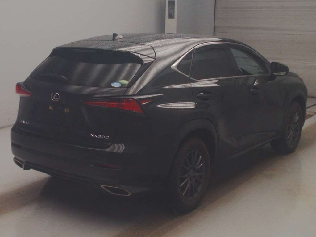 LEXUS NX300