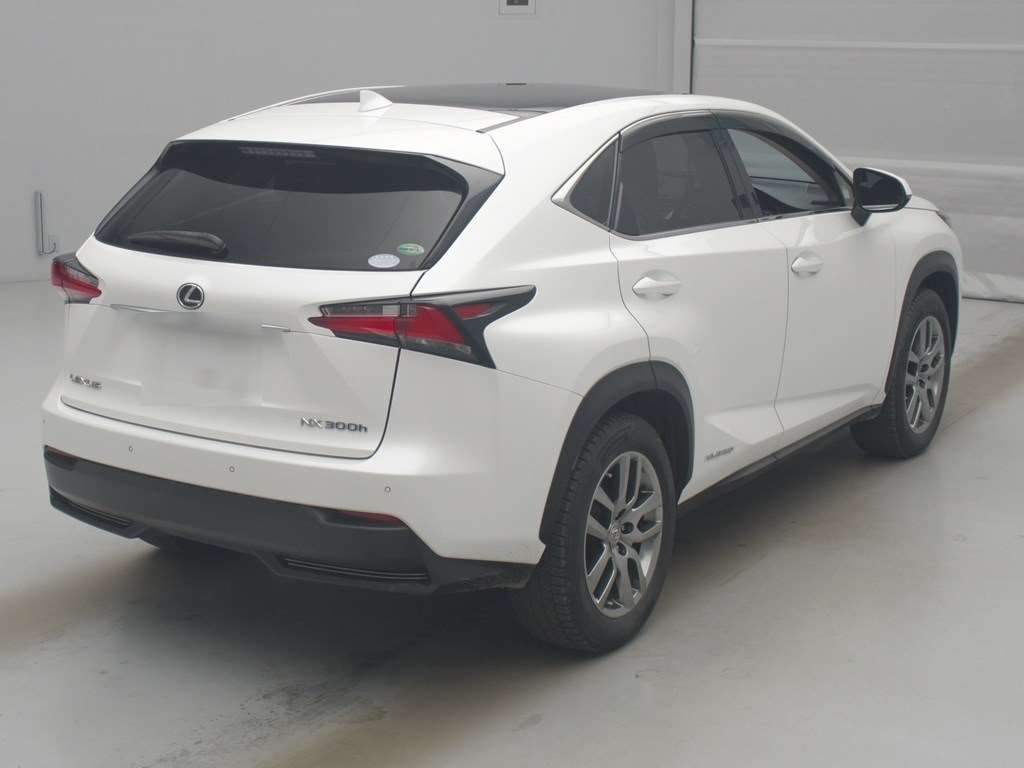 LEXUS NX300