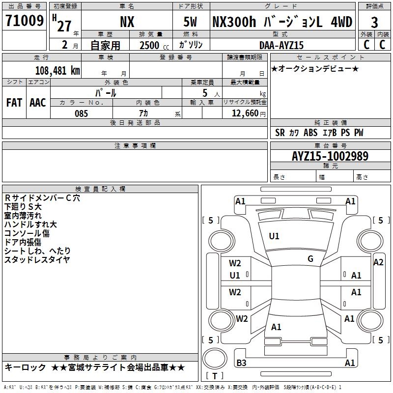 LEXUS NX300
