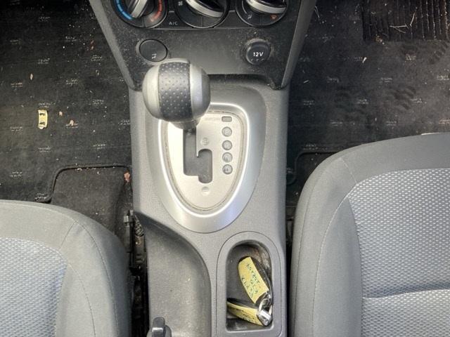 NISSAN DUALIS