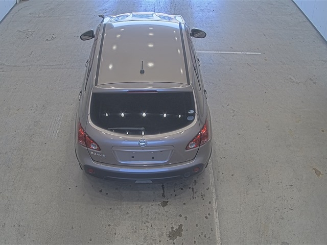 NISSAN DUALIS