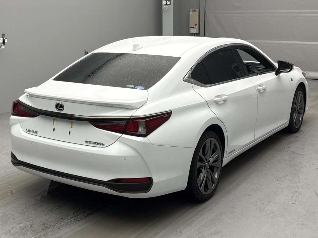 LEXUS ES300H