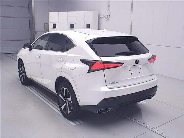 LEXUS NX300