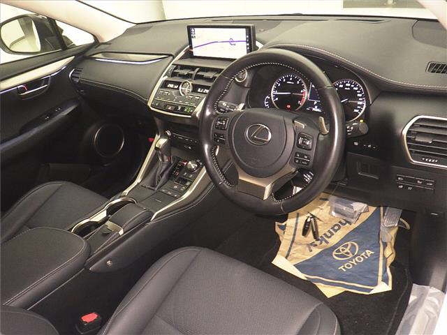 LEXUS NX300