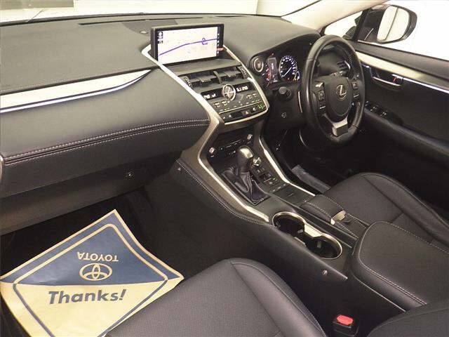 LEXUS NX300