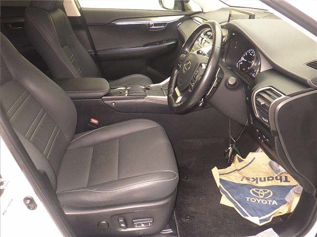 LEXUS NX300