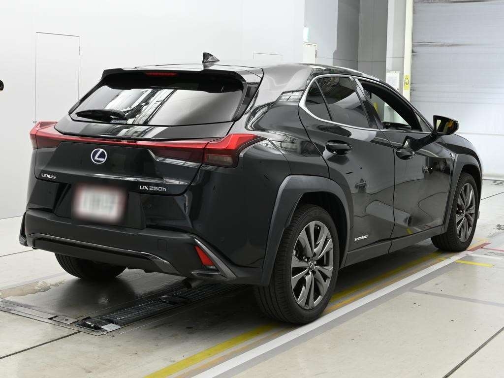 LEXUS UX250H