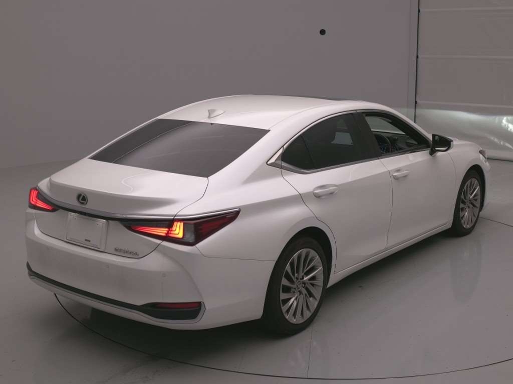 LEXUS ES300H