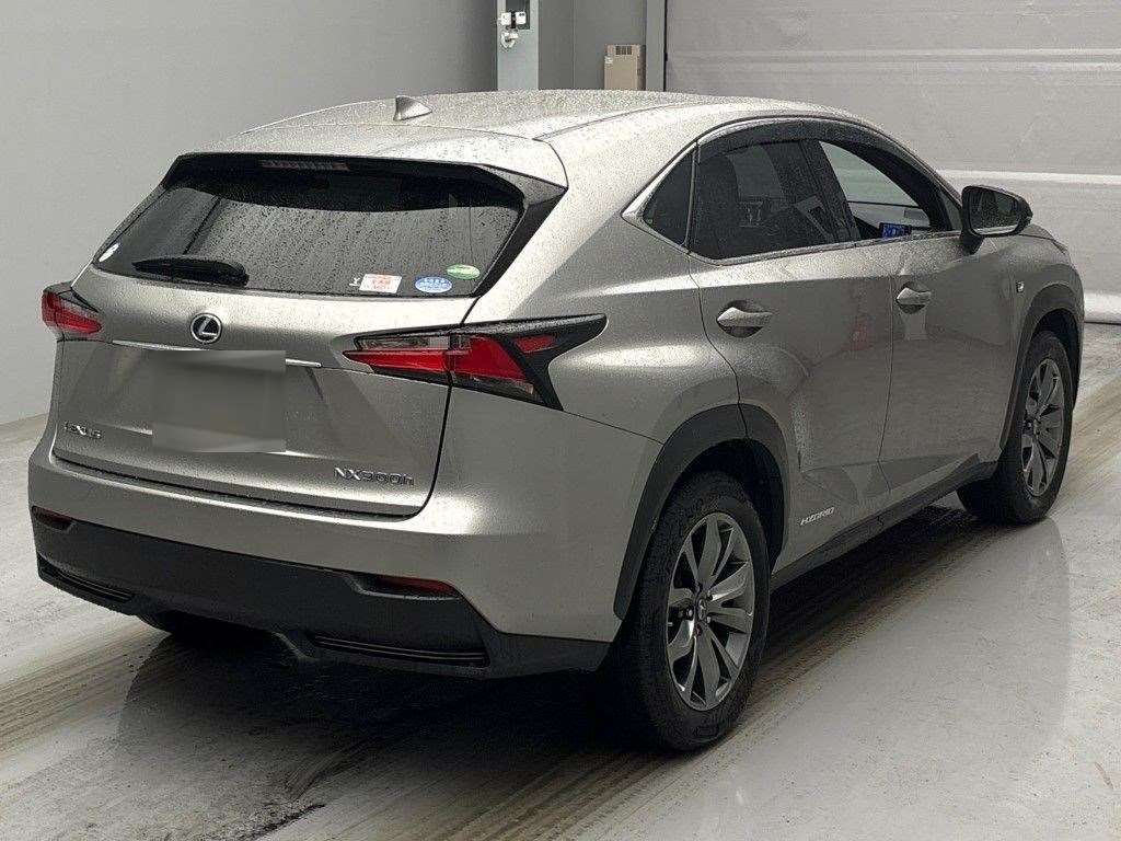 LEXUS NX300