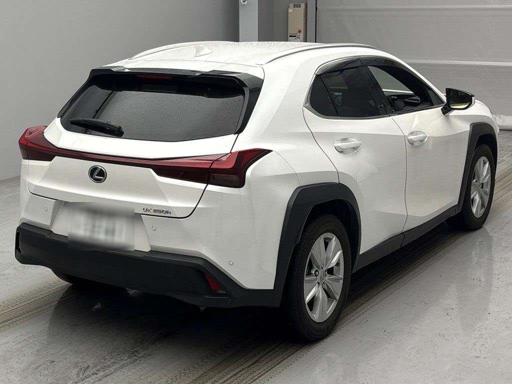 LEXUS UX250H