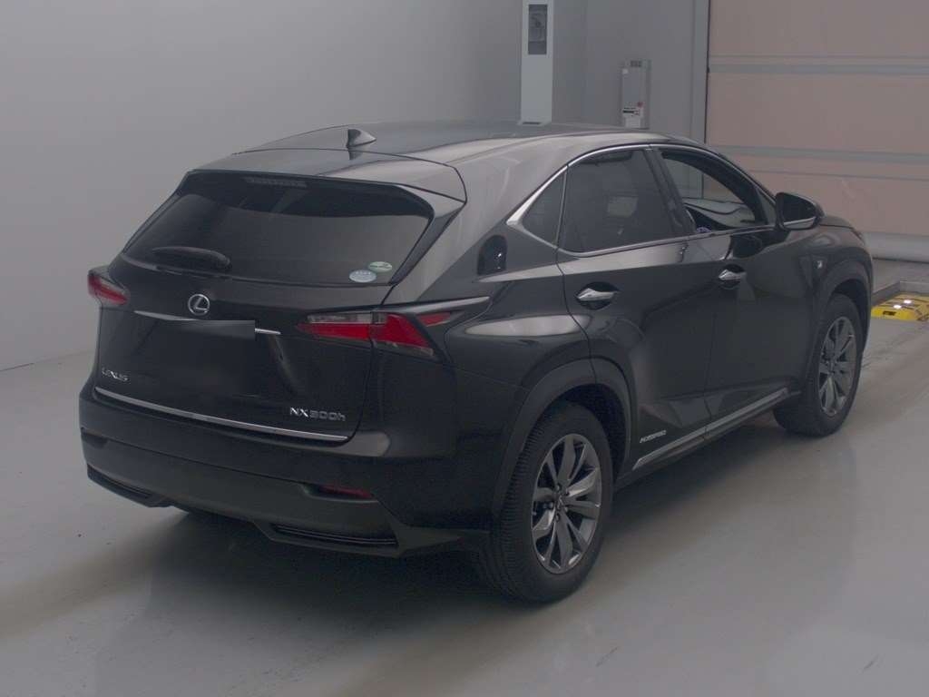 LEXUS NX300