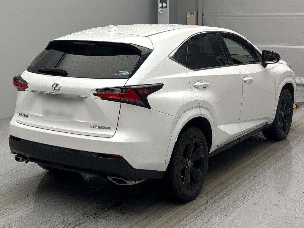 LEXUS NX300