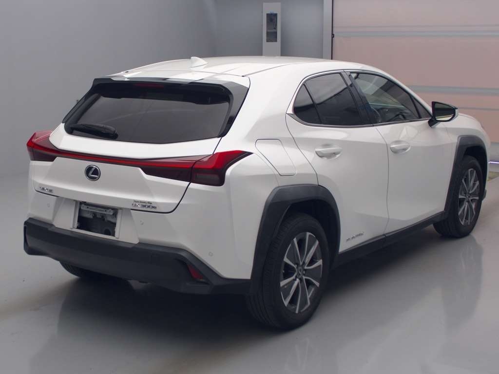 LEXUS UX300E