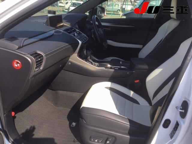 LEXUS NX300