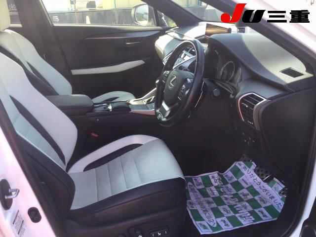 LEXUS NX300