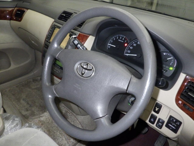 TOYOTA IPSUM