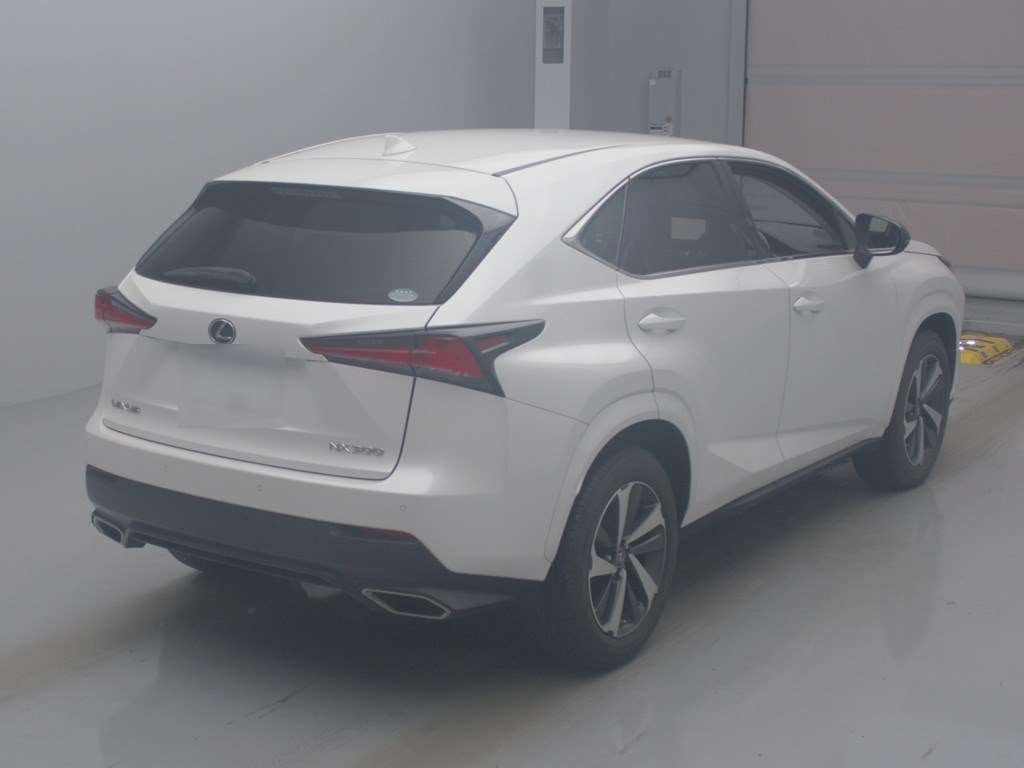 LEXUS NX300