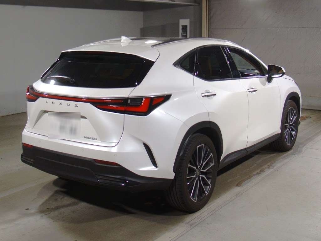 LEXUS NX250