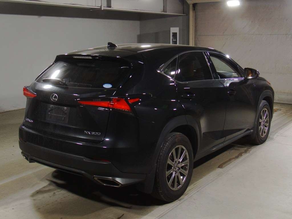 LEXUS NX300