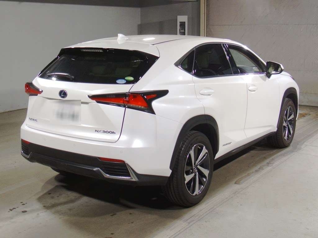 LEXUS NX300H