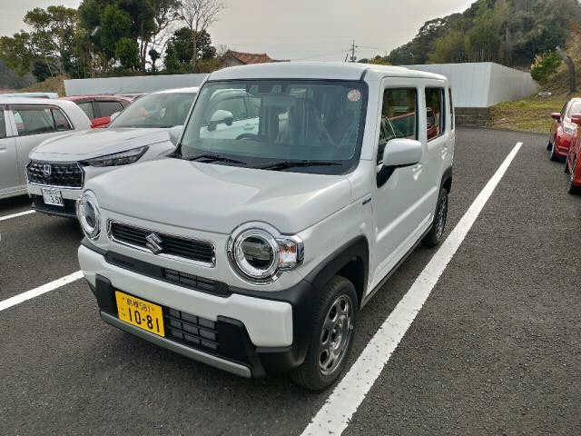 SUZUKI HUSTLER