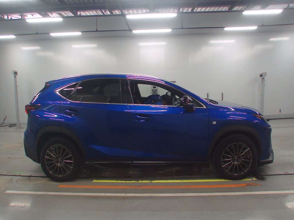 LEXUS NX300