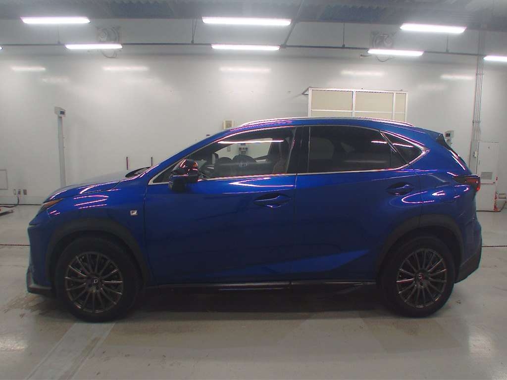 LEXUS NX300