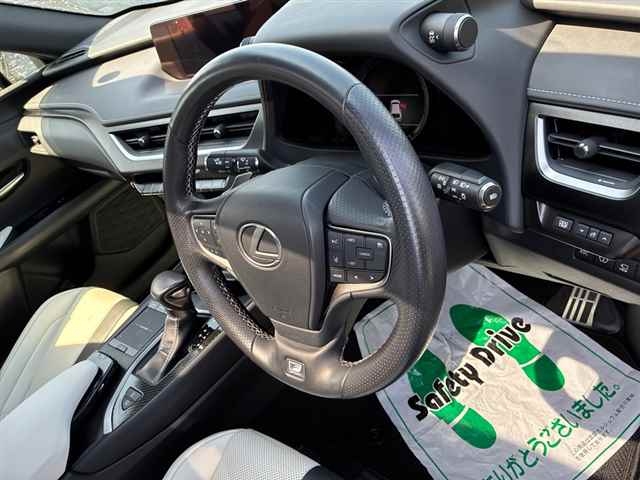 LEXUS UX200