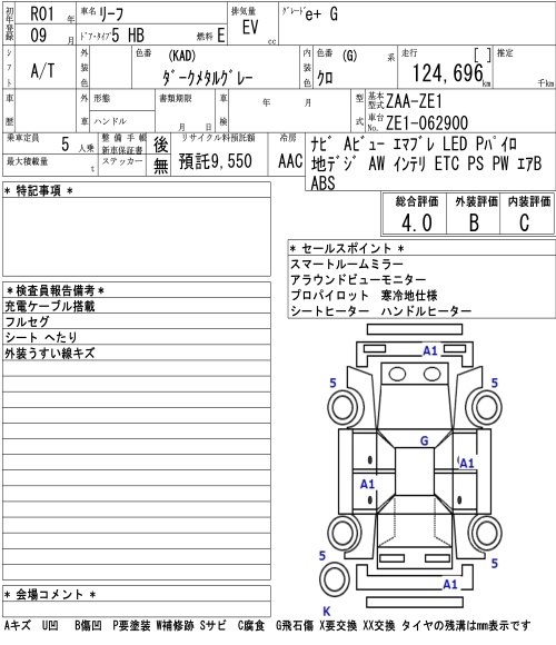 NISSAN LEAF