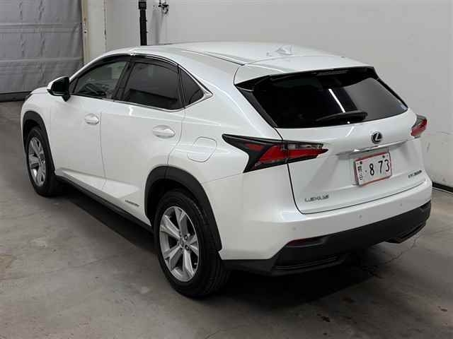 LEXUS NX300