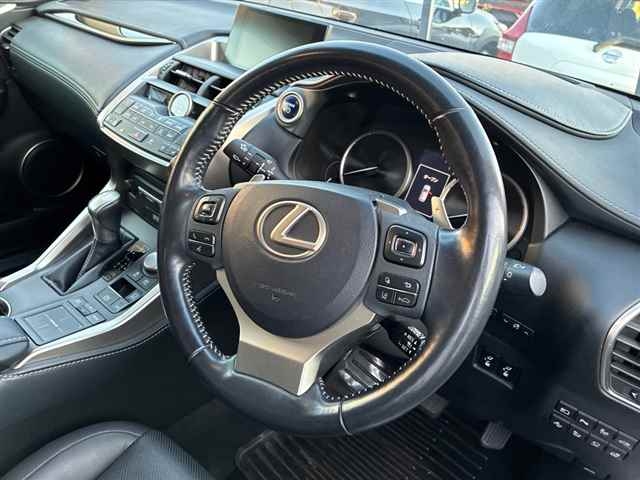 LEXUS NX300