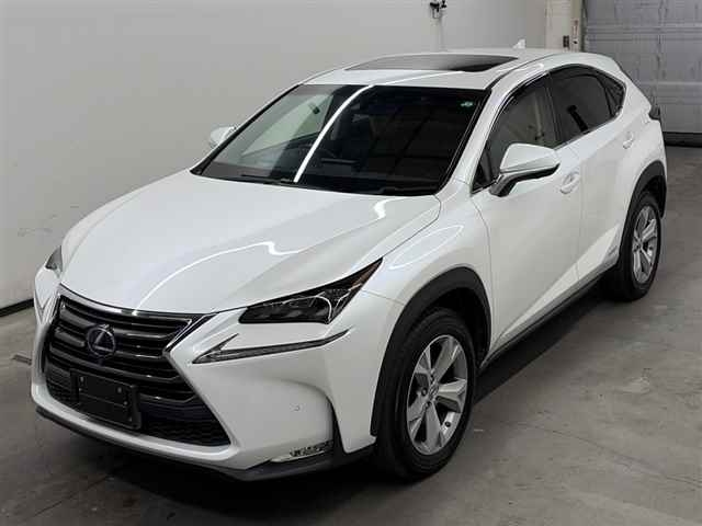 LEXUS NX300