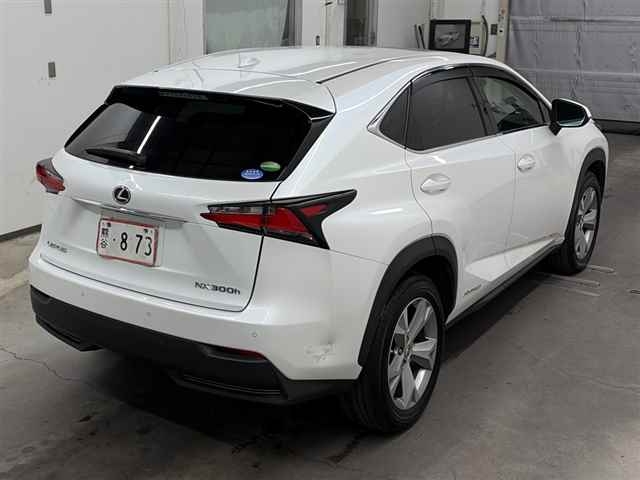 LEXUS NX300