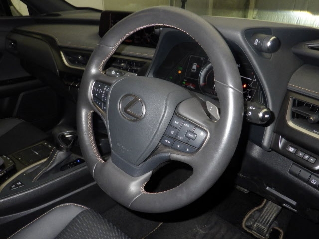 LEXUS UX250H