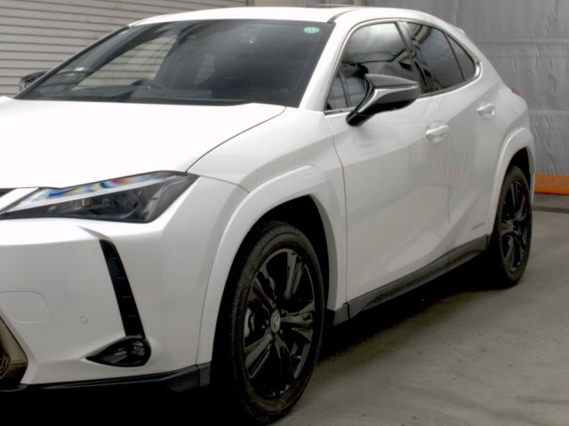 LEXUS UX250H