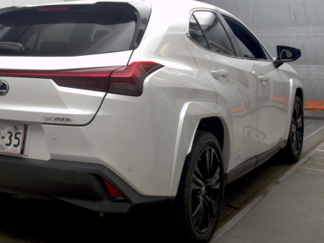 LEXUS UX250H
