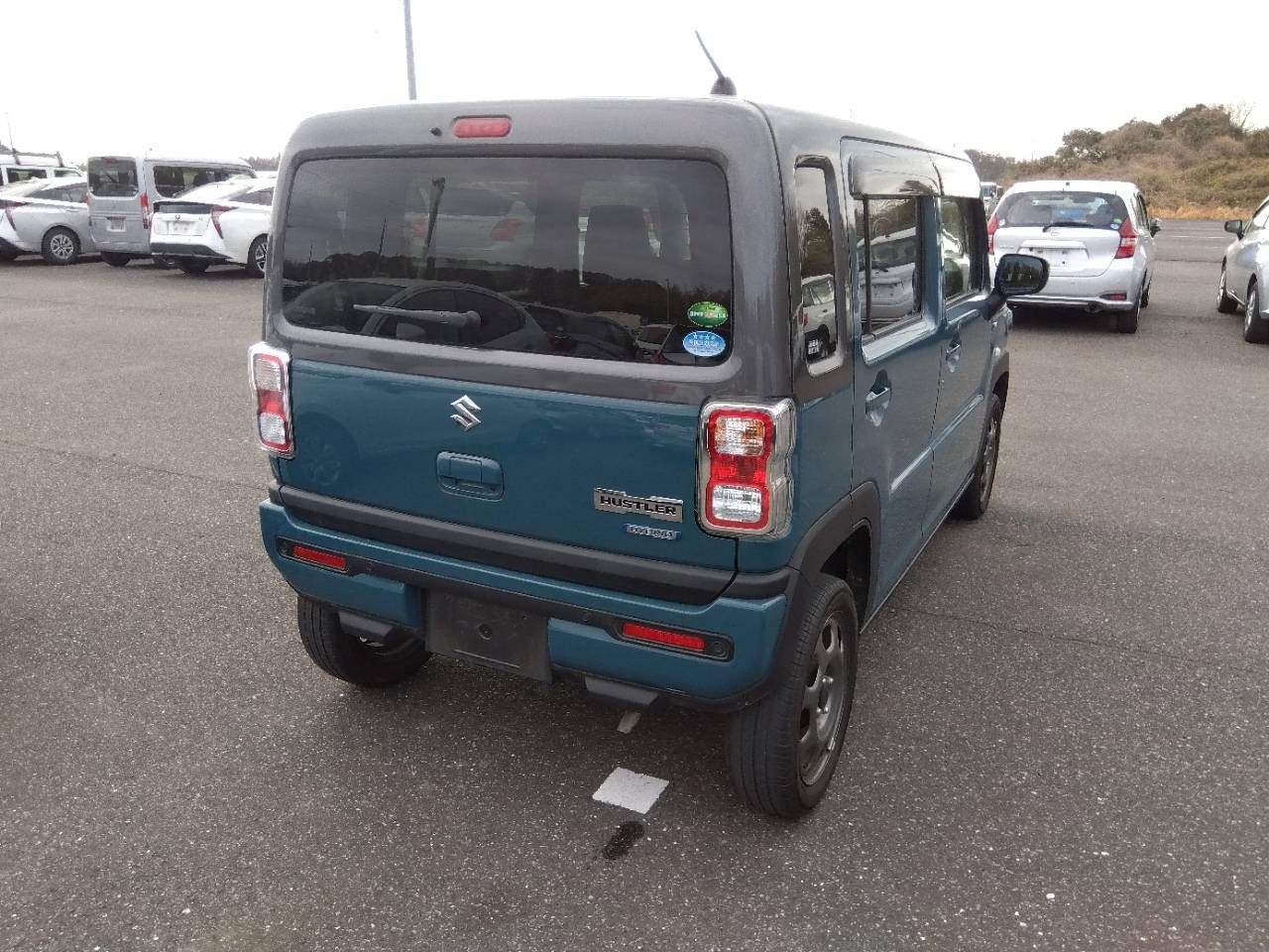 SUZUKI HUSTLER