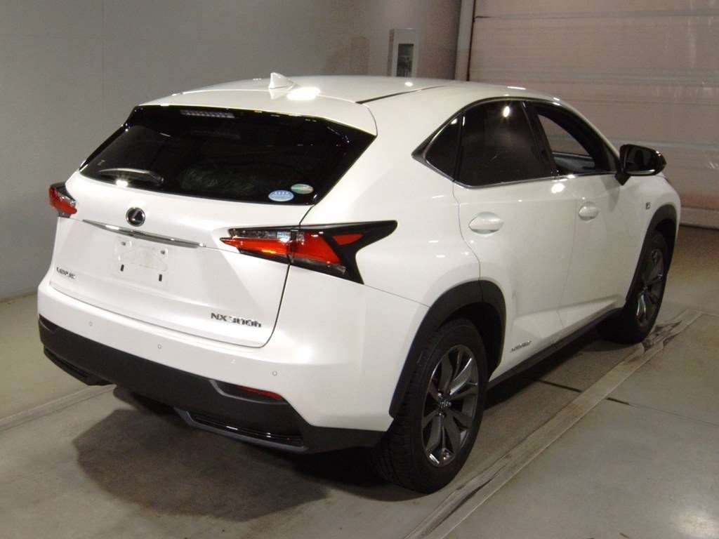 LEXUS NX300