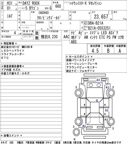 NISSAN DAYZ ROOX