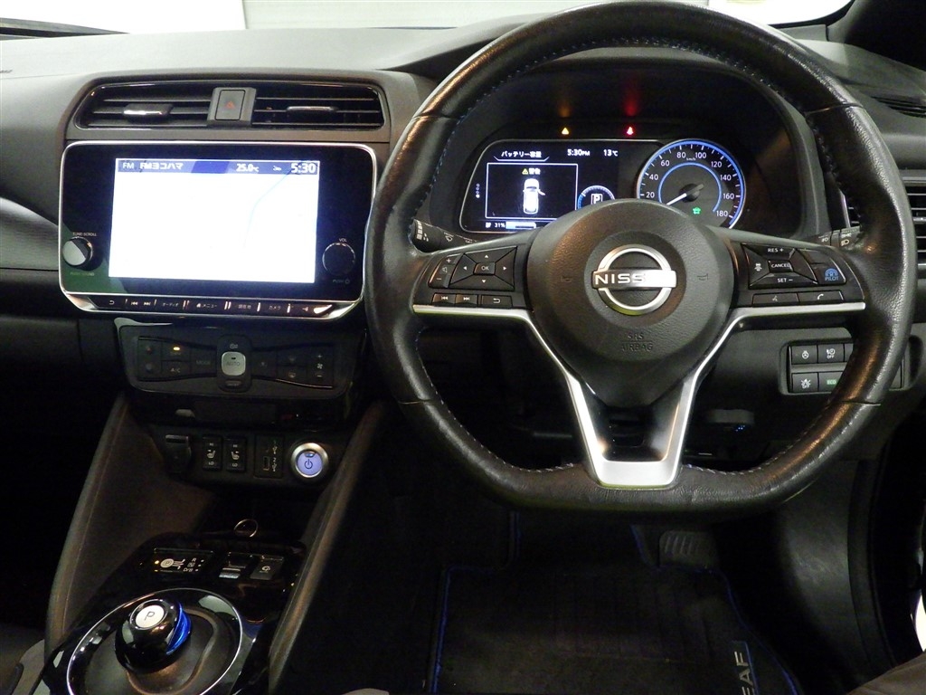 NISSAN LEAF