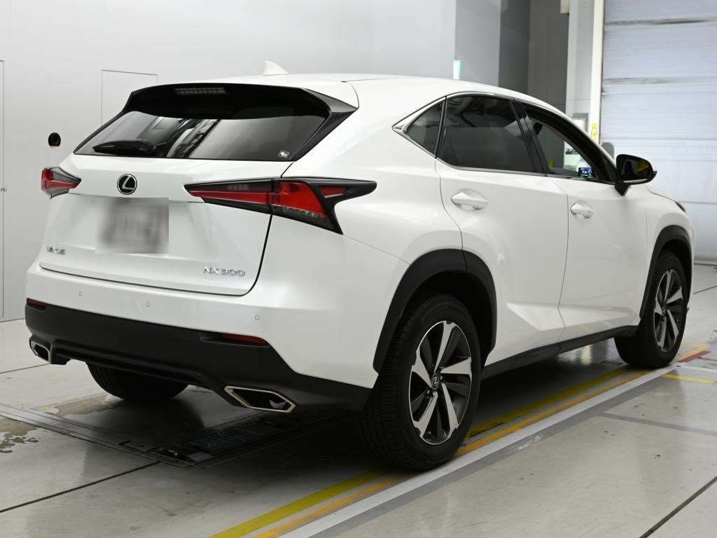 LEXUS NX300
