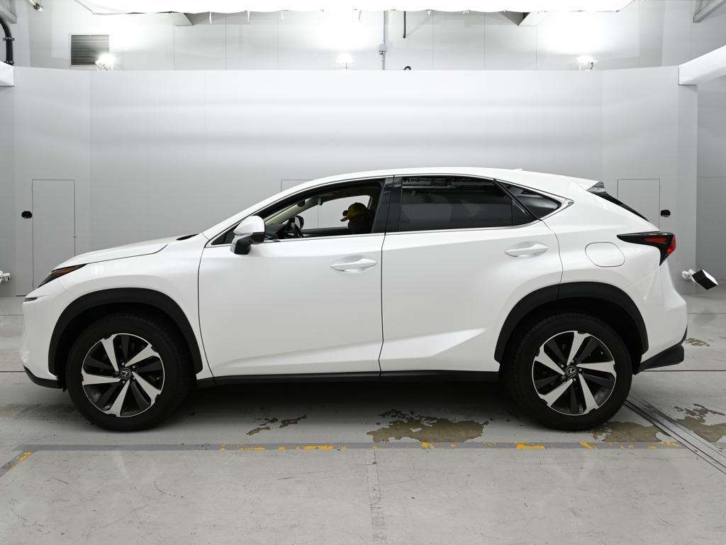 LEXUS NX300