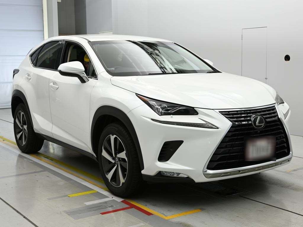 LEXUS NX300