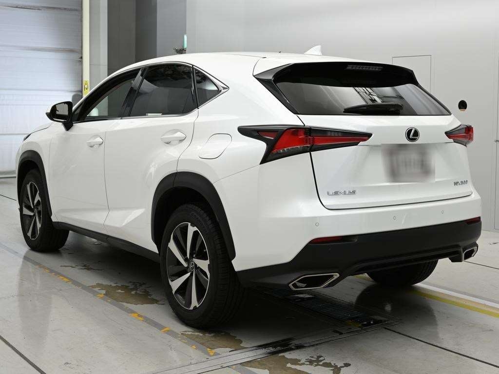 LEXUS NX300